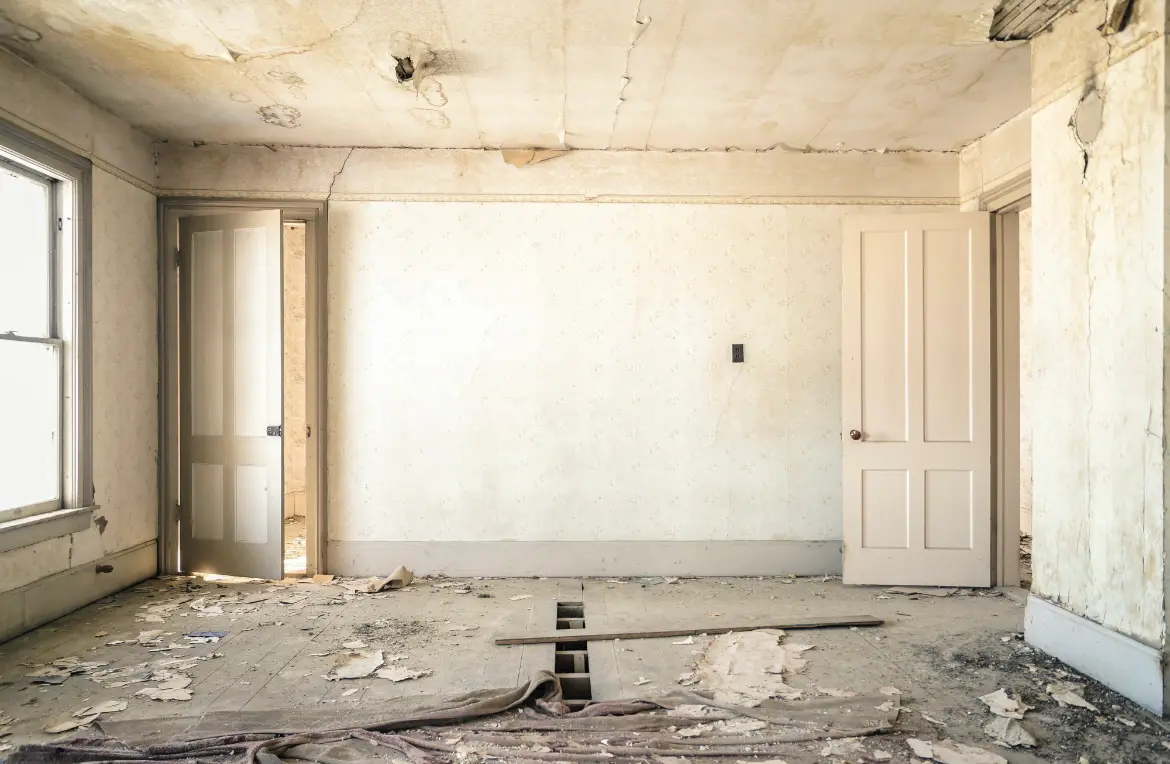 Waste disposal crew managing a cleanout project in Avondale